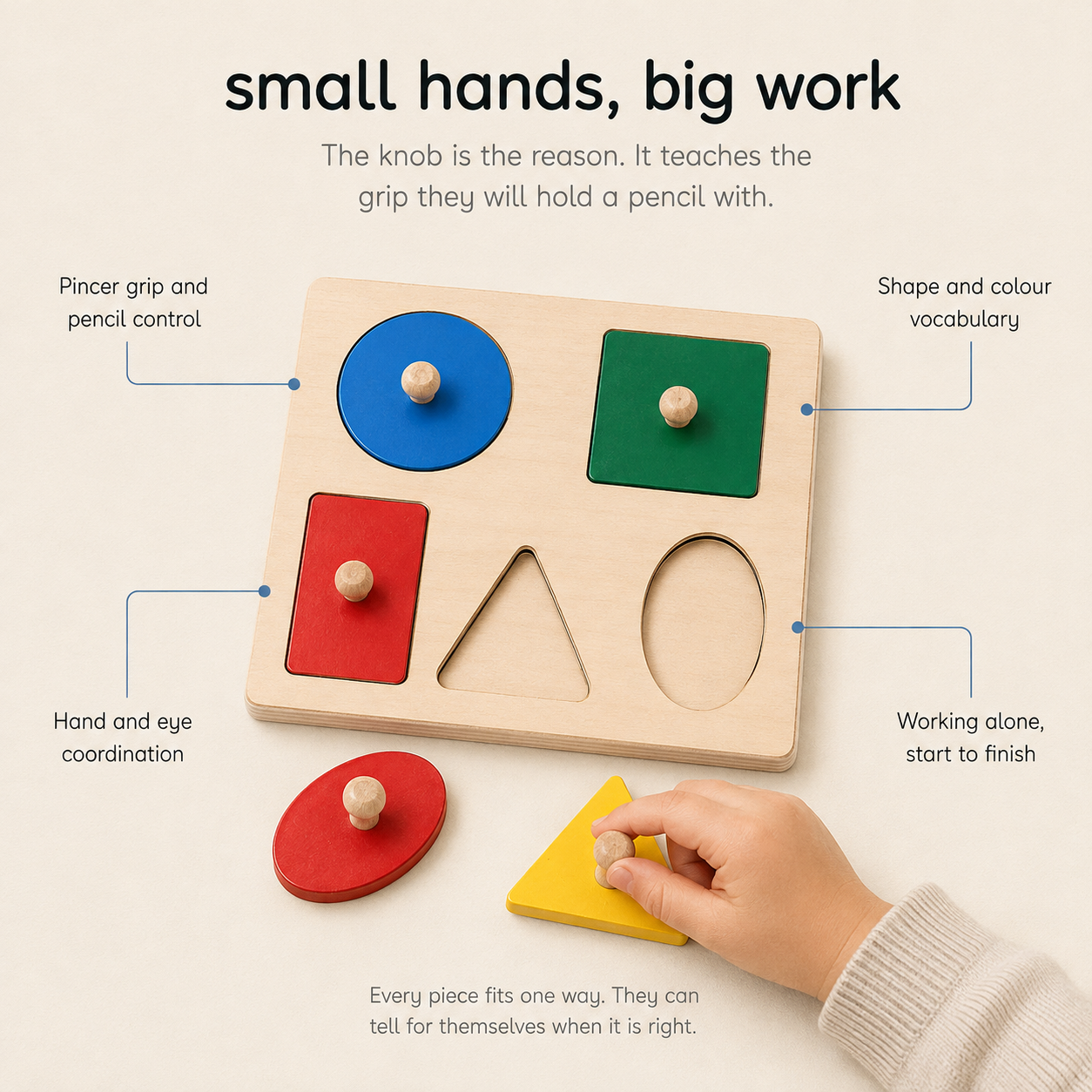 Montessori Geometric Sort Puzzle