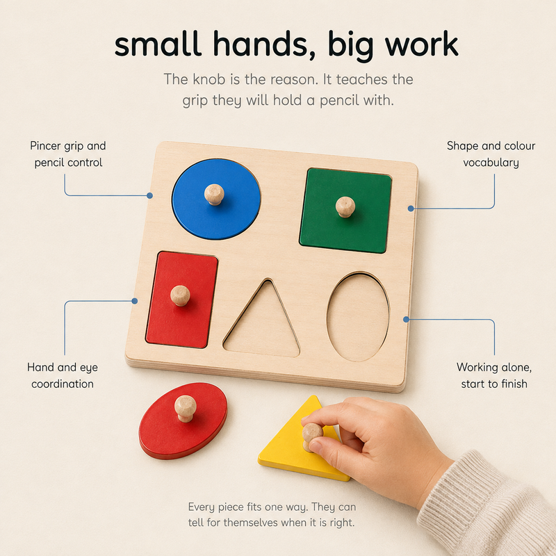 Montessori Geometric Sort Puzzle