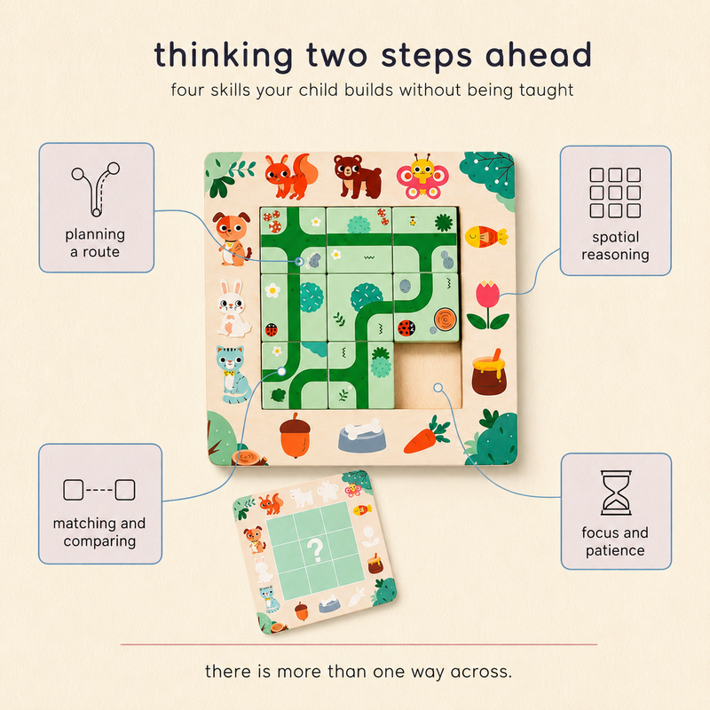 Wooden Route-Finding Puzzle