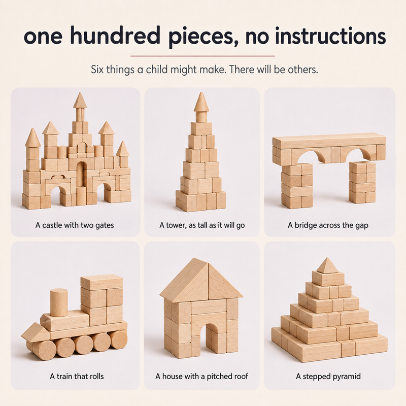 Beech Wood Building Block Set