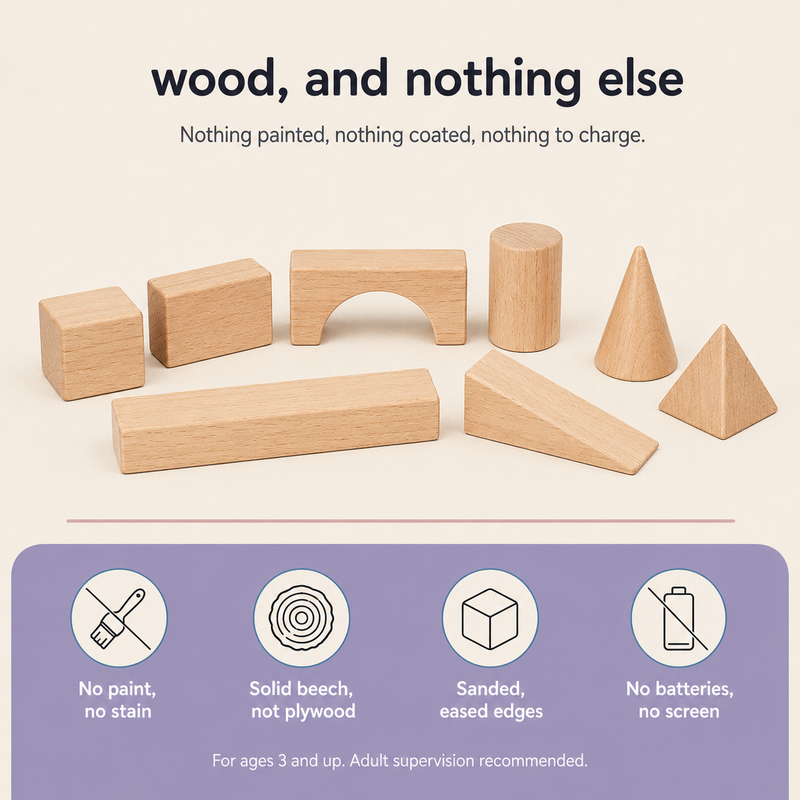 Beech Wood Building Block Set
