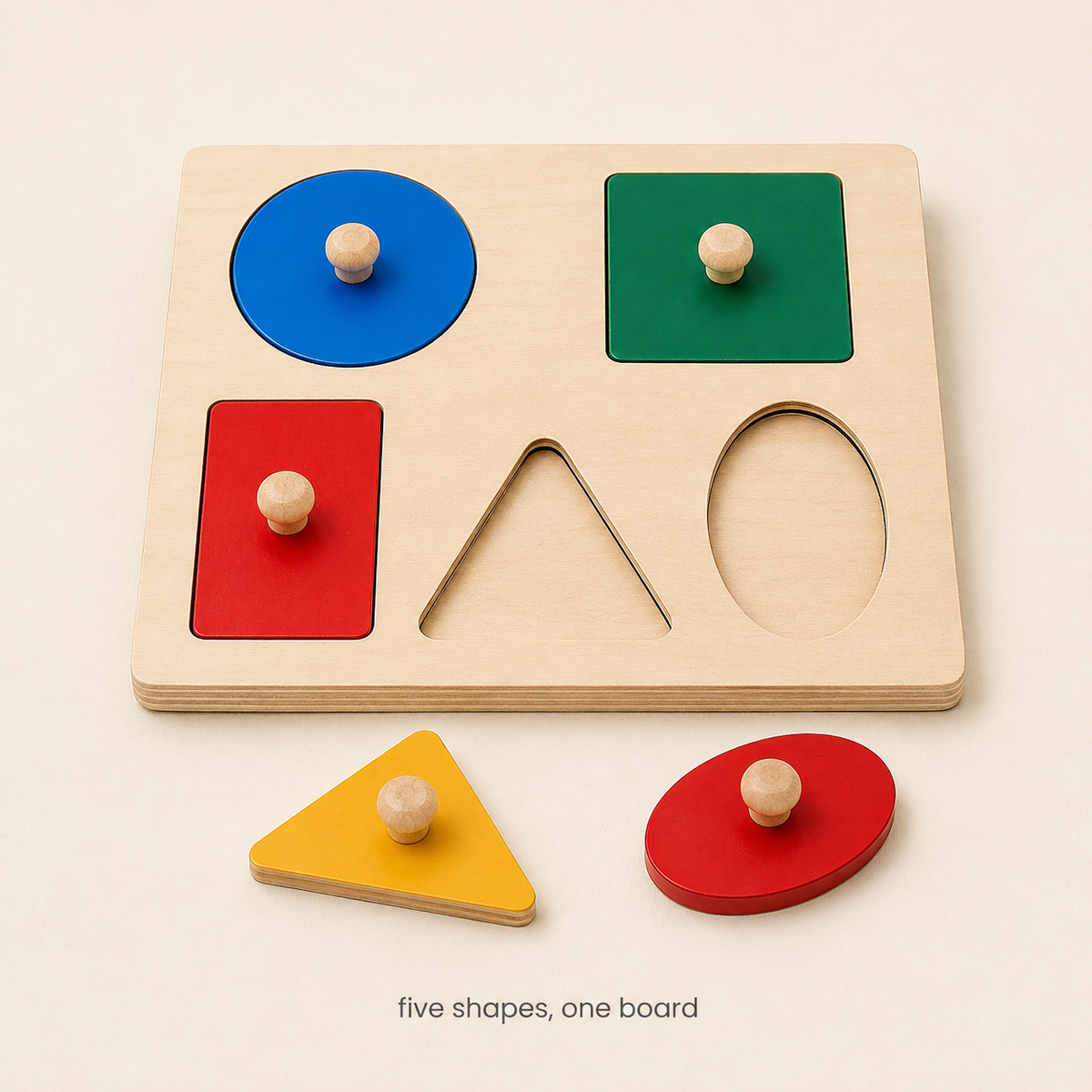 Montessori Geometric Sort Puzzle