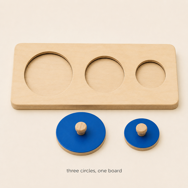 Montessori Geometric Sort Puzzle