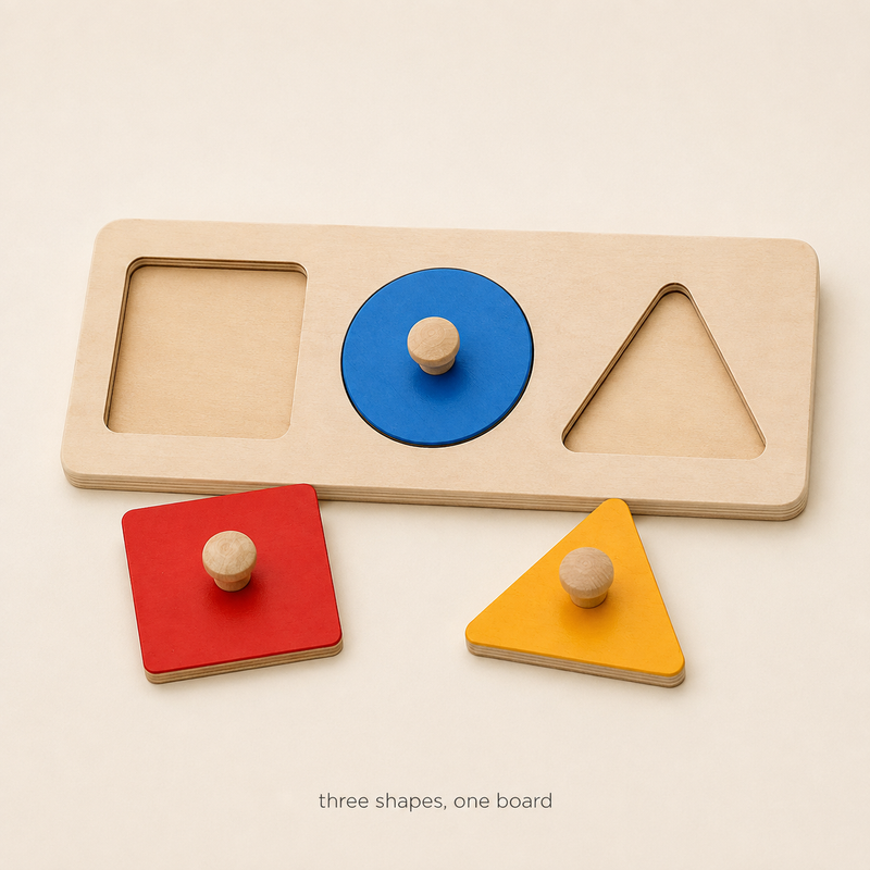 Montessori Geometric Sort Puzzle