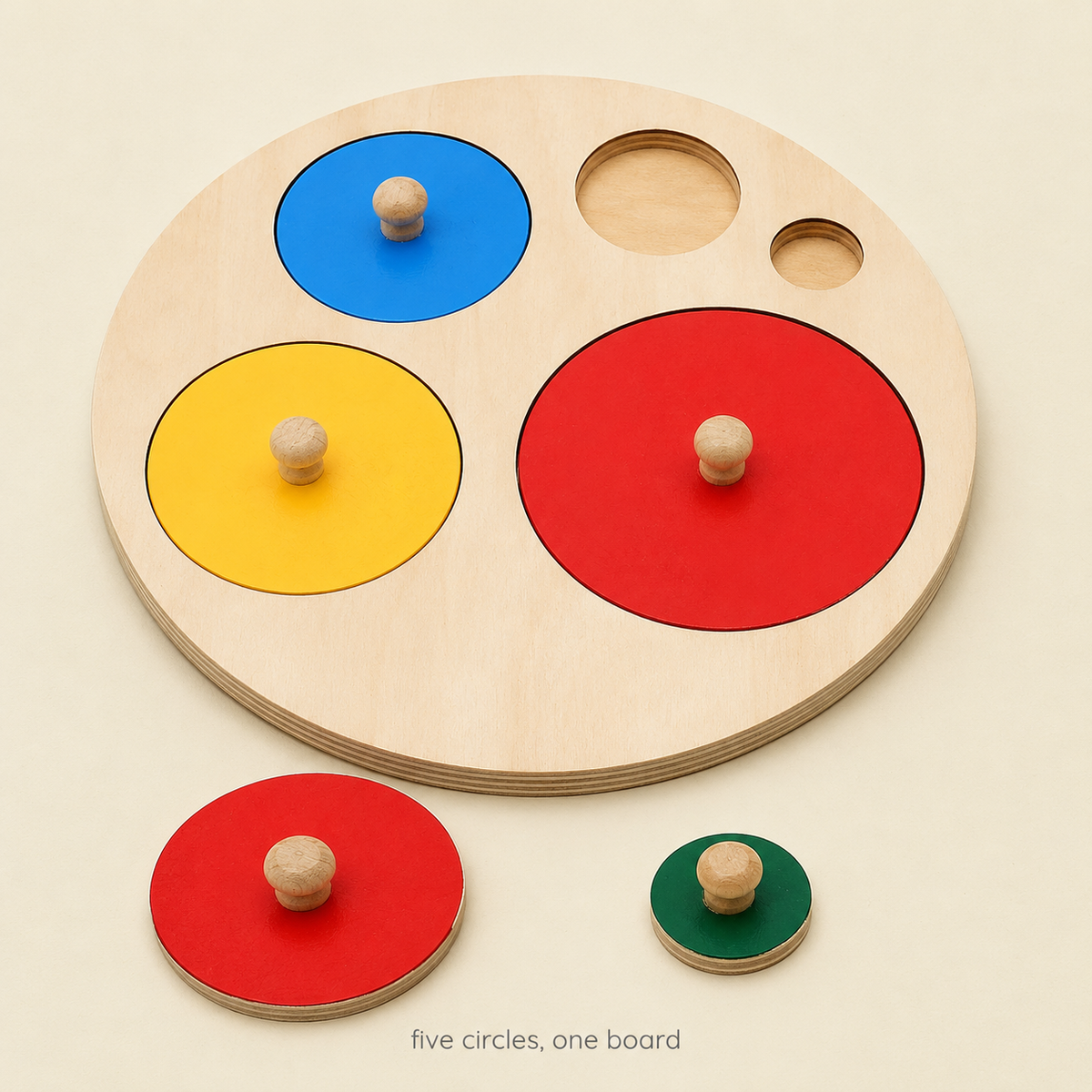 Montessori Geometric Sort Puzzle