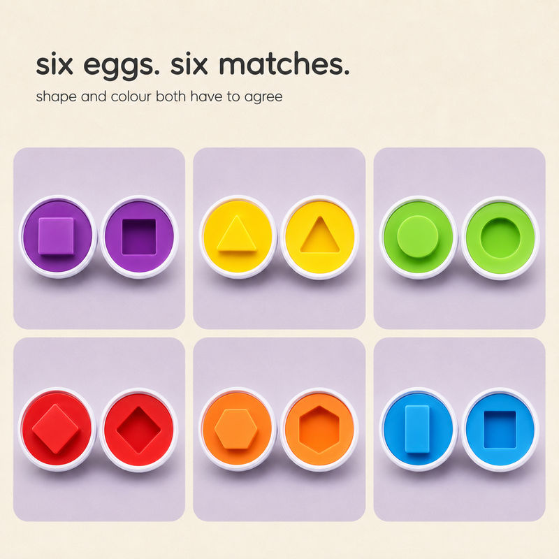 Smart Egg Shape Match Puzzle