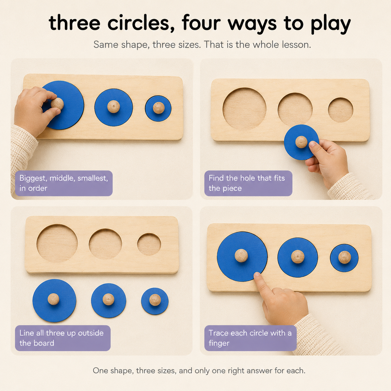 Montessori Geometric Sort Puzzle