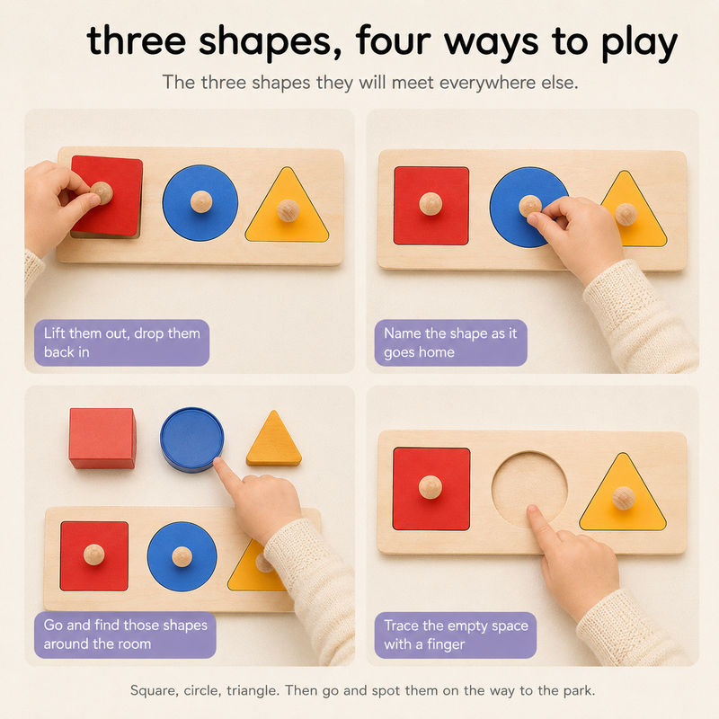 Montessori Geometric Sort Puzzle