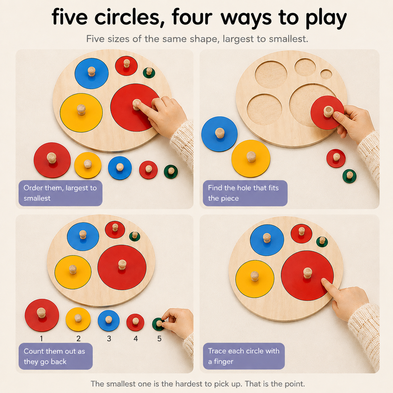 Montessori Geometric Sort Puzzle